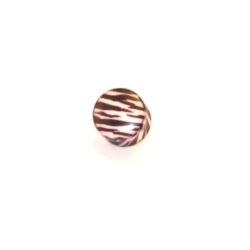 Acryl-Plug mit Zebramuster 14mm
