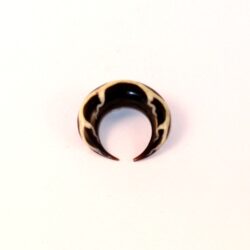 Sichel-Expander2 Horn 6mm