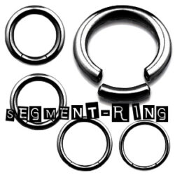 Segment-Ring